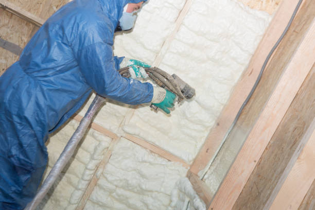 Eco-Friendly or Green Insulation Solutions in Mayodan, NC